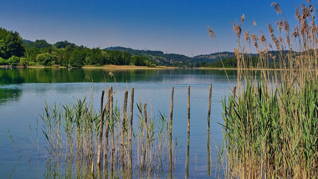 lake, nature, outdoors-6680102.jpg