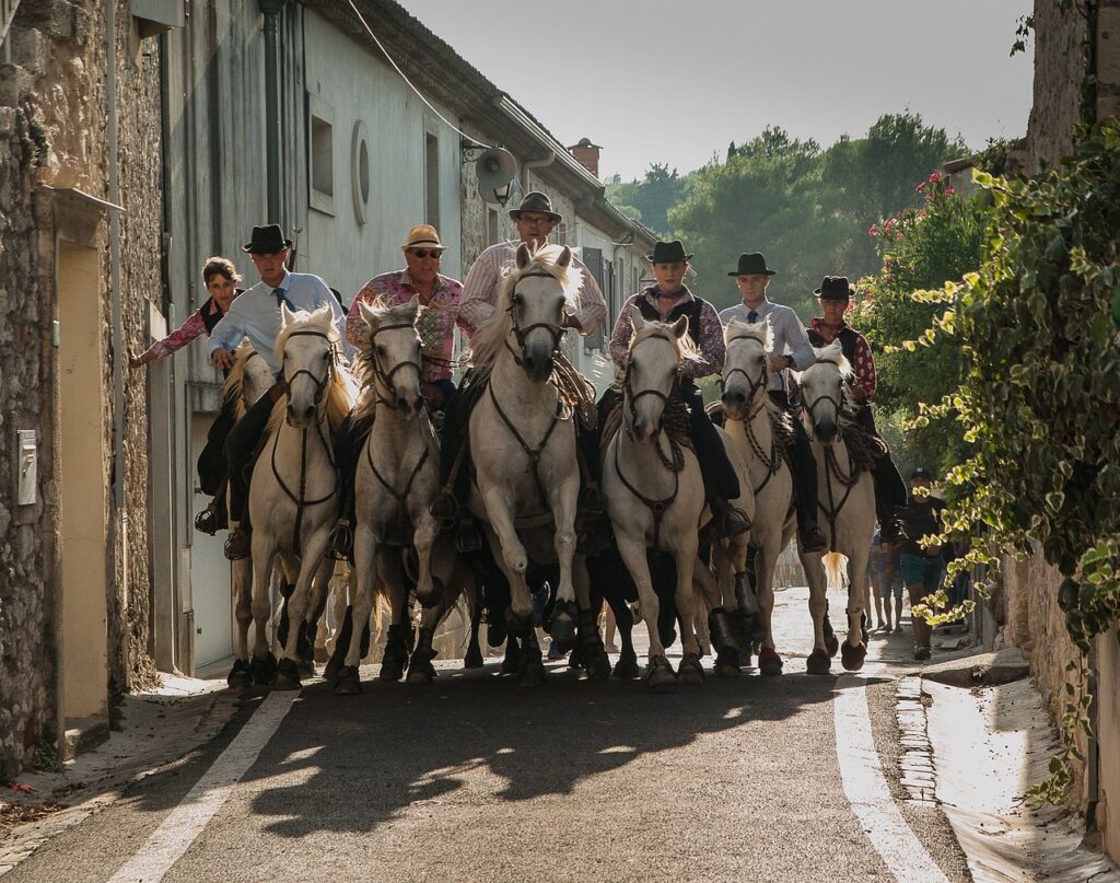 camargue, feria, camargue race, horses, bulls, riders, camargue, camargue, camargue, camargue, camargue, horses